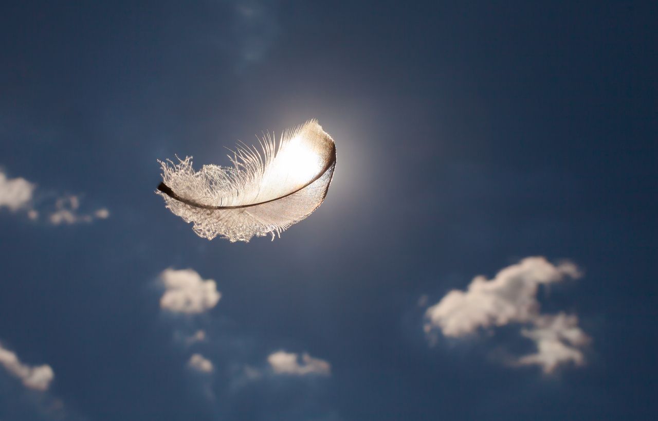 The UK’s Top Angel Investment Networks